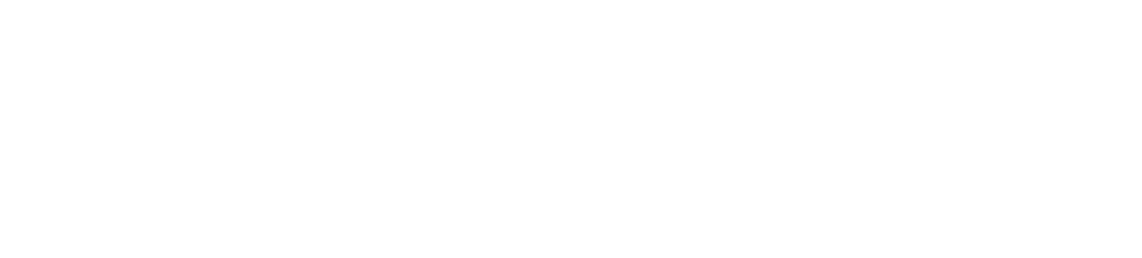 Boppe logotyp vit